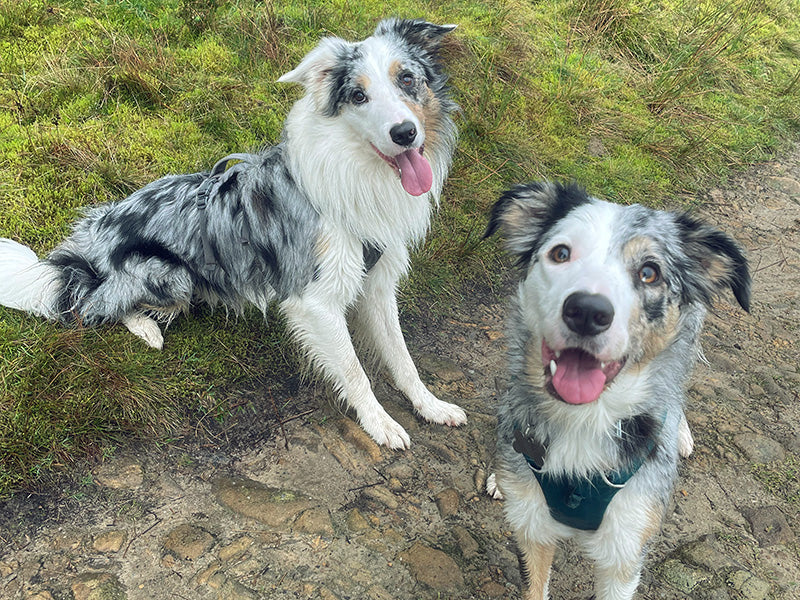 Bobby and Lucy