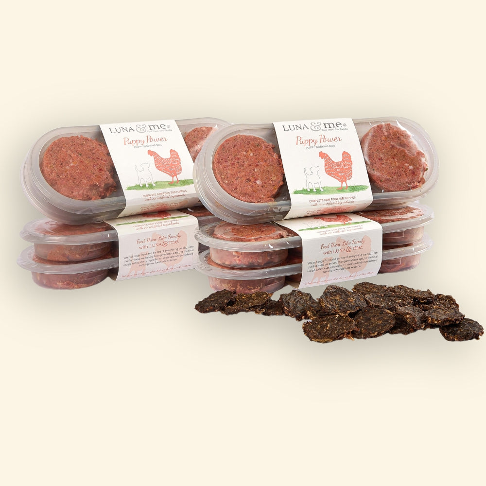 Puppy Starter Box, Patties (48 x 100g)