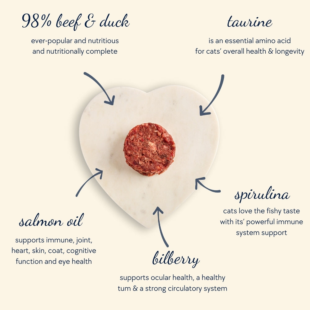 RawBlends Marvellous Beef & Duck (6 x 100g)