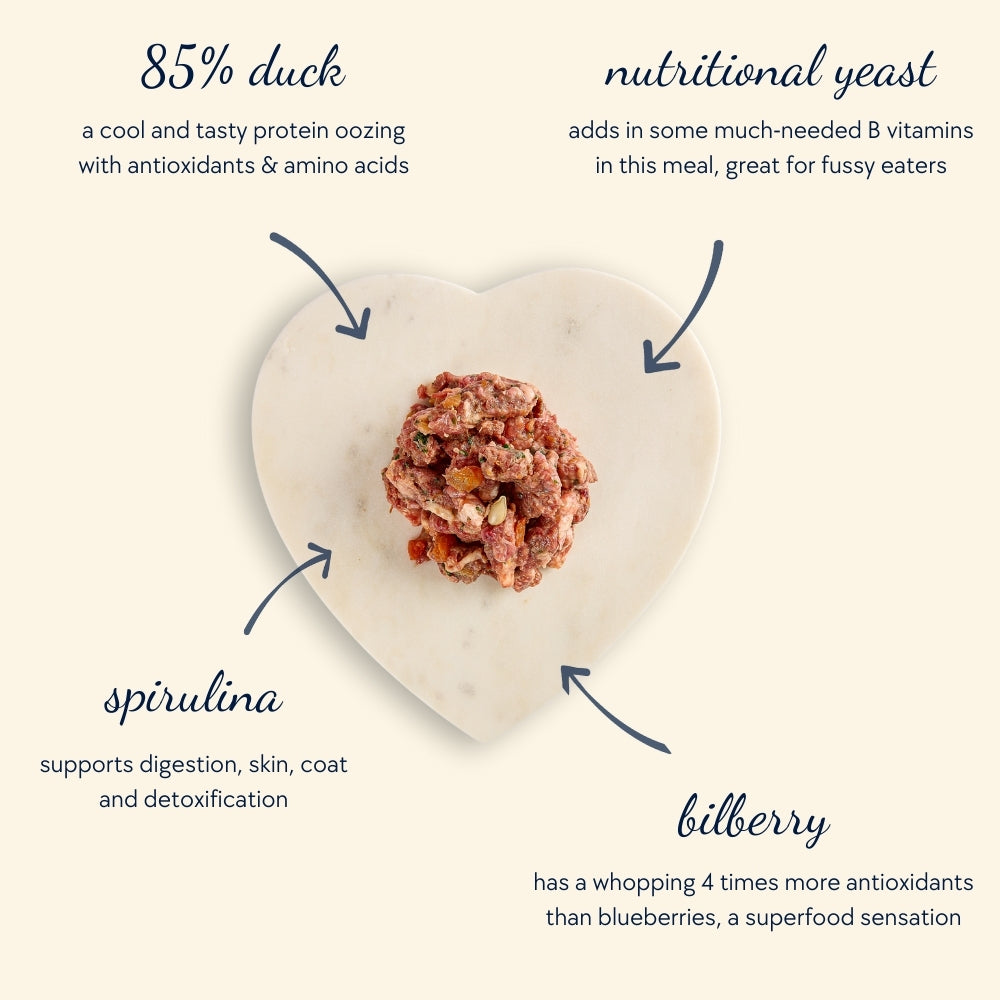 Adult Dandy Duck Mince (750g)