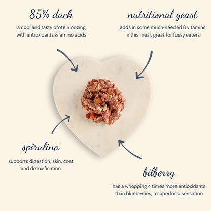 Adult Dandy Duck Mince (750g)